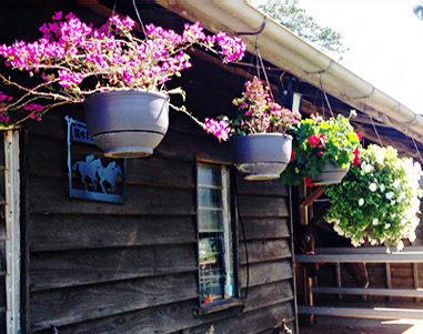 CBR Equine lodge