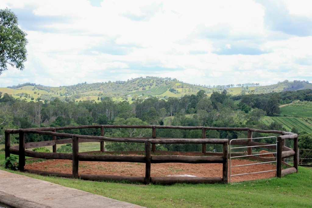 Round Yard