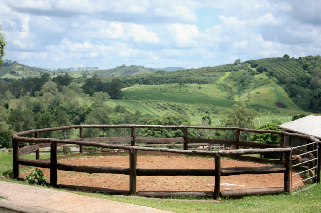 CBR Equine Lodge - Amamoor